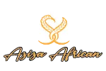 Aziza African Hair Braiding